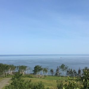 Meet your Posher, Nan